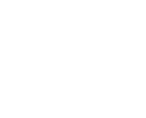 Handsome Studio